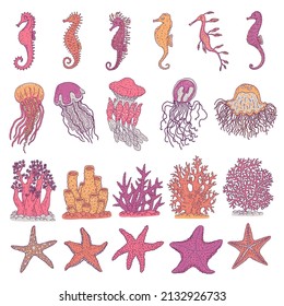 Seahorses, jellyfish, starfishes and corals different forms. Vector set ocean animals underwater life. Doodle sketch line isolated illustrations.