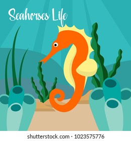 Seahorses Life Illustration