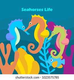 Seahorses Life Illustration