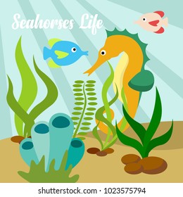 Seahorses Life Illustration