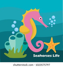Seahorses Life Illustration