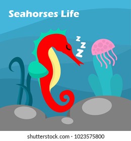 Seahorses Life Illustration