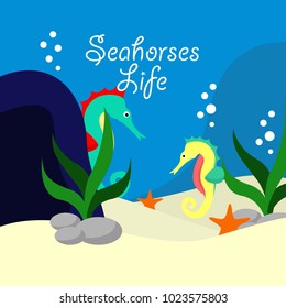 Seahorses Life Illustration