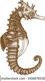 Seahorses pointillism vector hand drawing