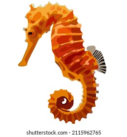 seahorses sea animal vector illustration