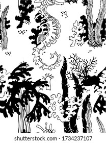 seahorse's and seaweed seamless pattern. For the design of chancellery. Underwater wallpaper. Print for fabric. Decorative ornament for home textile, swimwear, man swimming trunks. sea stock print 