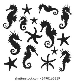 seahorses and starfish silhouette Vector