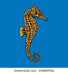 Seahorses are strange animals but that's good
