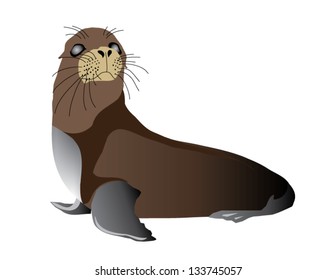 Seal