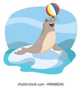 seal acrobatic vector illustration design