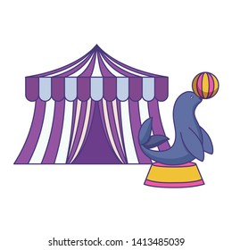 seal animal with ball and tent circus