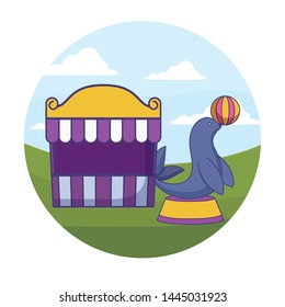 seal animal with ball and tent circus
