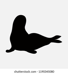 seal animal cute