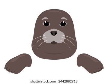 Seal animal head icon isolated on white background. Seal face and paws front view. Sea or ocean aqua water mammal. Nature Vector flat or cartoon illustration.