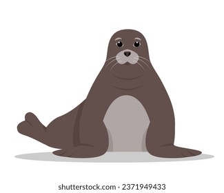 Seal animal icon isolated on white background. Seal front view. Sea or ocean aqua water mammal. Nature Vector flat or cartoon illustration.