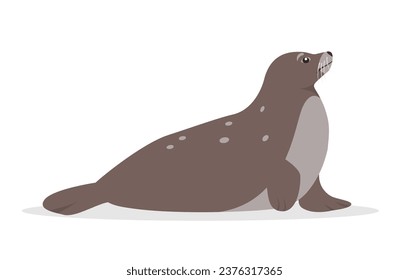 Seal animal icon isolated on white background. Sea or ocean water mammal animal seal. Nature Vector flat or cartoon illustration.