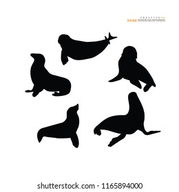 Seal animal icon.vector illustration.