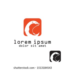 seal animal logo vector design icon