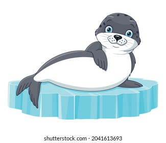 Seal animal on ice floe. Vector cartoon illustration