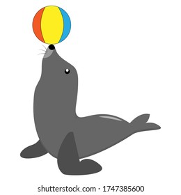 Seal animal play with ball vector