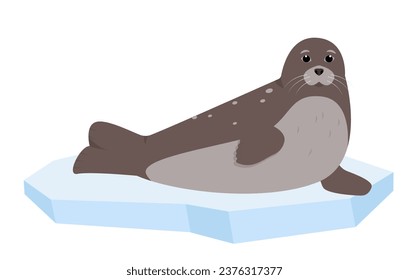 Seal animal sitting on ice floe. Sea or ocean aqua water mammal. Nature Vector flat or cartoon illustration icon isolated on white background.