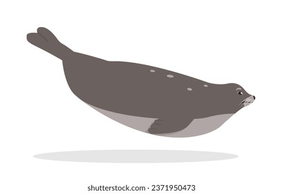 Seal animal swimming. Sea or ocean aqua water mammal. Seal icon. Nature Vector flat or cartoon illustration isolated on white background.