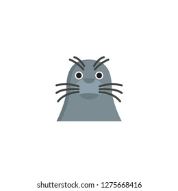 seal animal vector