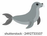 A Seal animal vector illustration