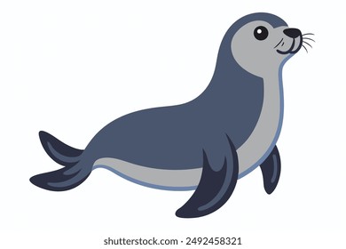 A Seal animal vector illustration