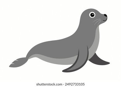 A Seal animal vector illustration