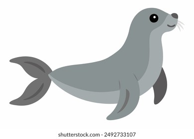 A Seal animal vector illustration