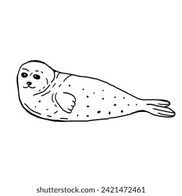 Seal arctic animal hand drawn vector illustration
