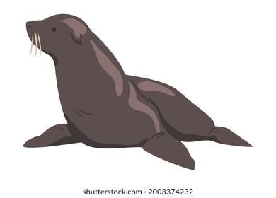 Seal Arctic Animal, Wild Polar Marine Mammal Cartoon Vector Illustration