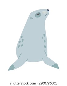 Seal Arctic Wildlife Animal. Vector illustration