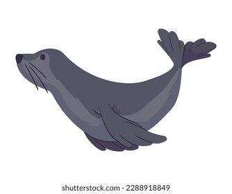 seal artic animal creature character