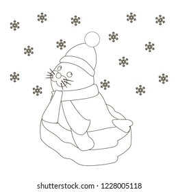 Seal baby on an ice floe on the white background. Vector illustration