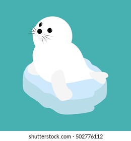 Seal baby on a ice floe. Vector illustration