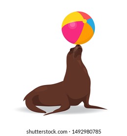 Seal balancing colored ball on nose. Vector illustration on white background