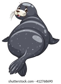 Seal with black skin turning back illustration