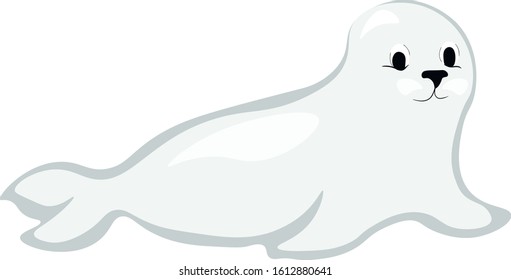 Seal cartoon animals character . Vector isolated illustration on white background . Concept for print, logo, icon 