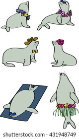 Seal Cartoon Vector