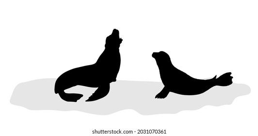 Seal couple on iceberg silhouette. Sea lion on block of ice vector silhouette illustration isolated on white background. Polar animals family in cold winter environment. Shape seal shadow.