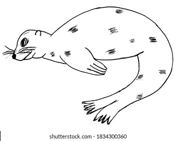 Seal cub, polar Arctic mammal animal. Zoo motive and protection of wildlife and nature. Vector image in children style. Can be used for printing, illustration and coloring book