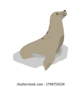 Seal cute sea animal icon isolated on white, vector illustration