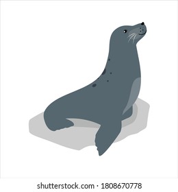 Seal cute sea animal icon isolated on white, vector illustration