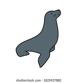 Seal cute sea animal icon isolated on white background. Vector illustration
