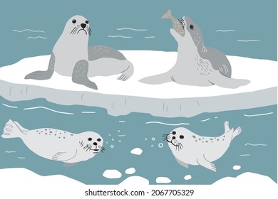 Seal Cute Sea Animal Icon Isolated On White, Vector Illustration
