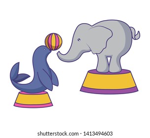 seal with elephant of circus with ball