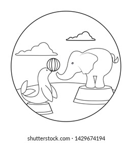 seal with elephant of circus with ball in frame circular