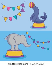seal and elephant of circus vector illustration design